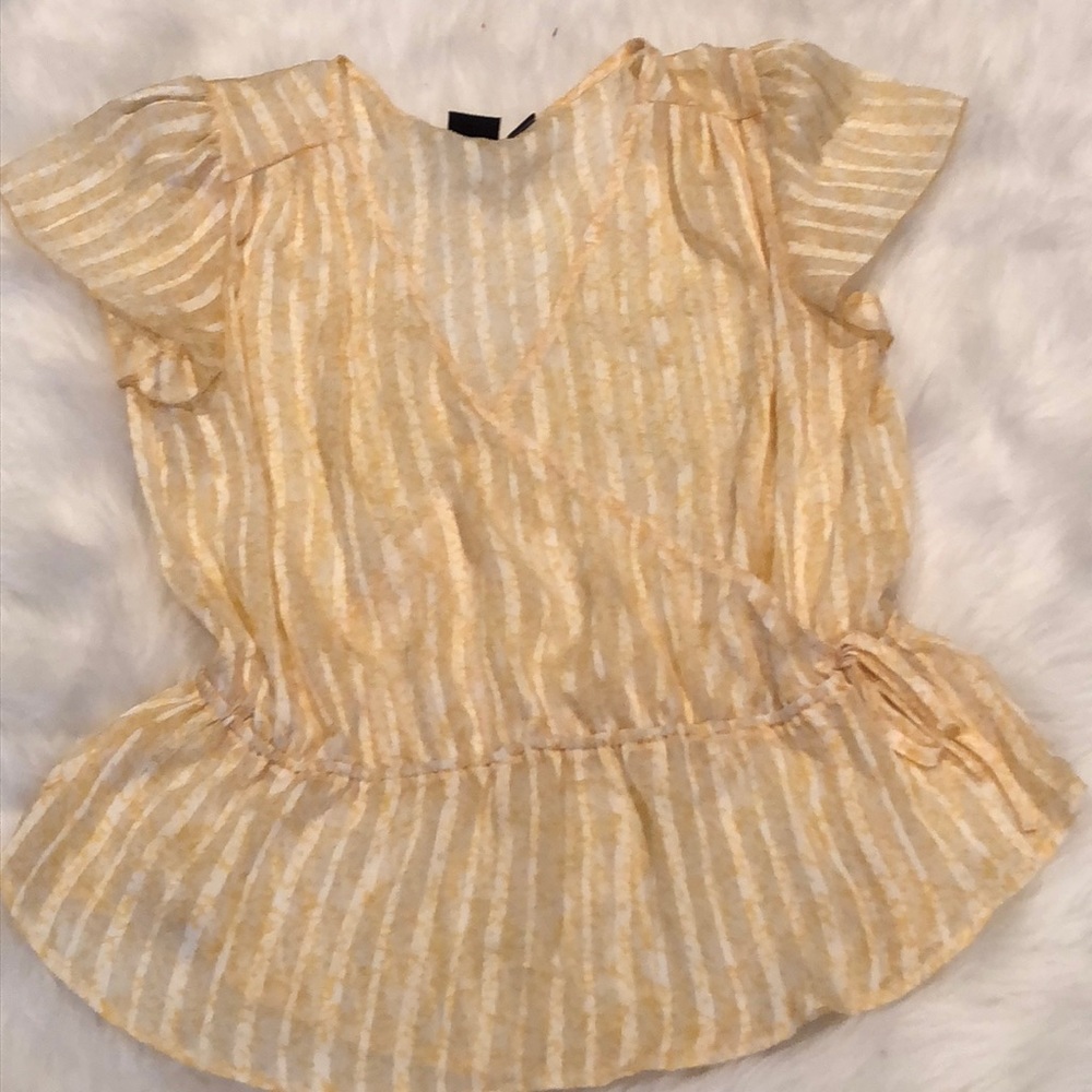 Ladies sheer top